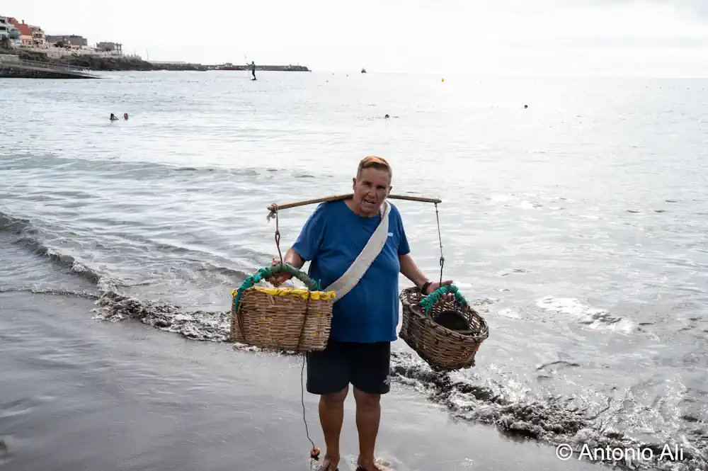 Exhibición De La Pesca Del Chinchorro En Melenara Telde