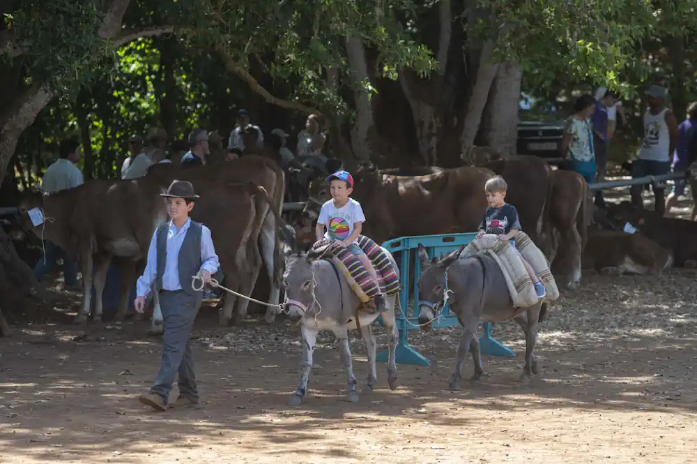 La Finca de Osorio acoge el domingo Feria de Ganado del Pino, con transporte gratuito desde Teror
