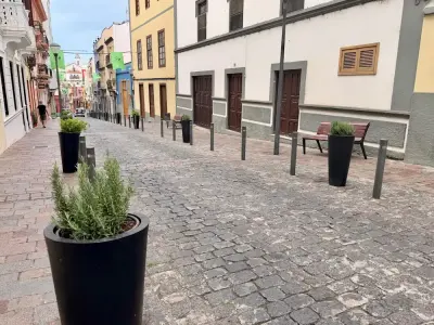 Parques y Jardines renueva con plantas aromáticas la calle Marqués de Muni para acompañar el recorrido de la Virgen en Las Marías
