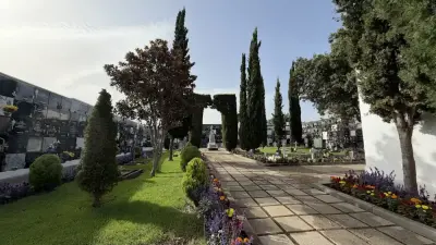 Cementerio de Moya