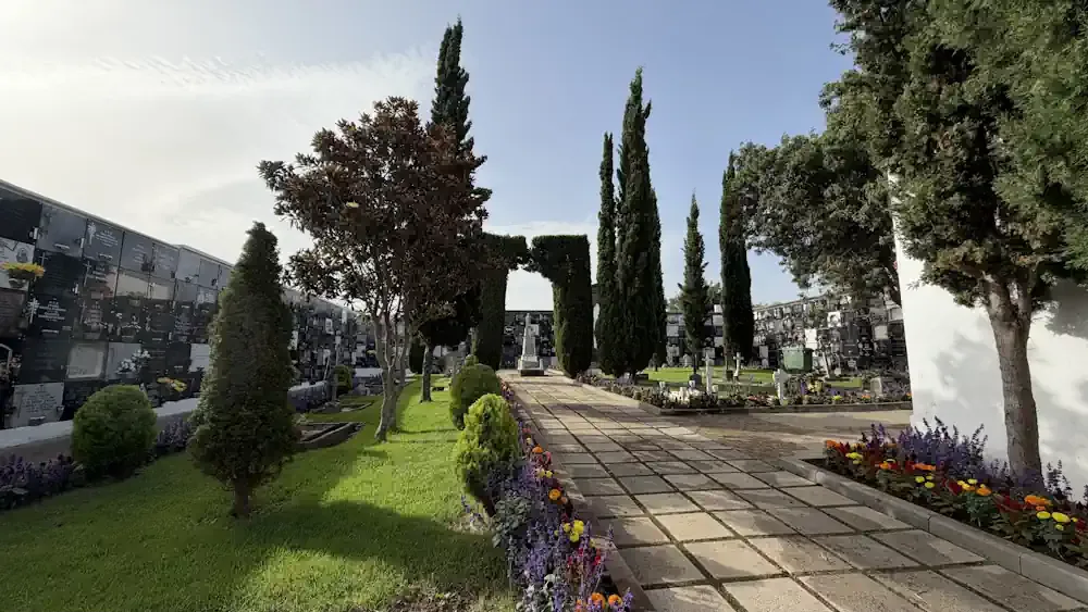 Cementerio de Moya