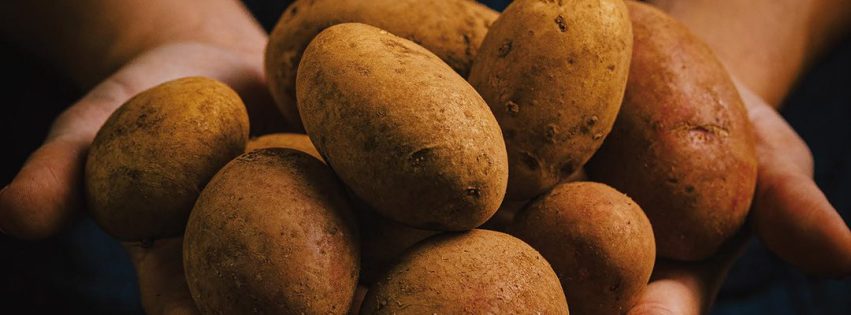 08_cartel_redes_feria_papa