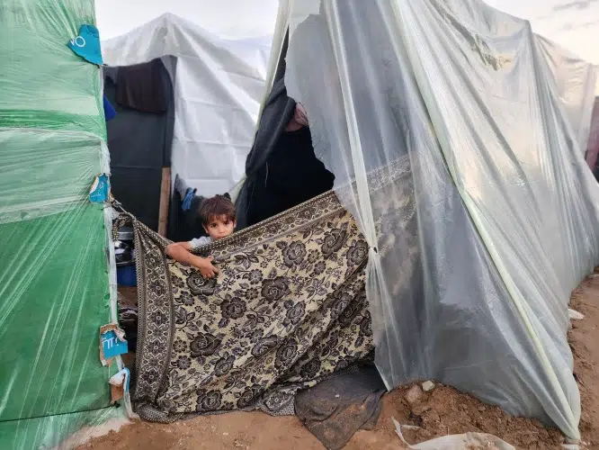 12. 660.000 Niños Y Niñas Se Han Visto Privados De Una Educación