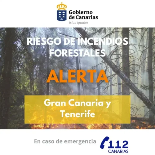 2 Cartelas Infoca