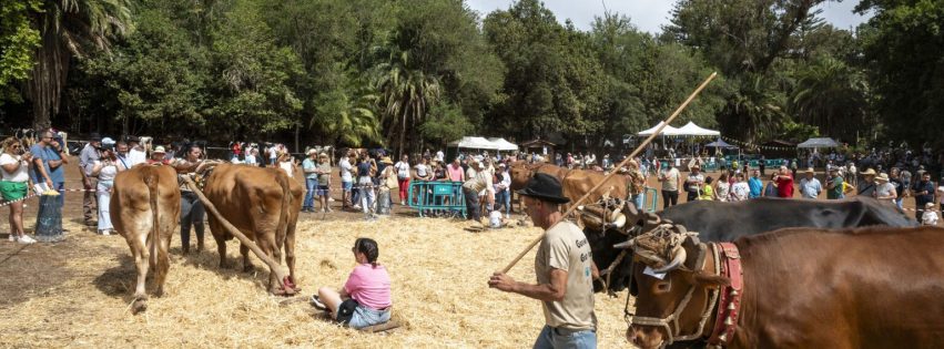 21_FERIA-DE-GANADO_2024