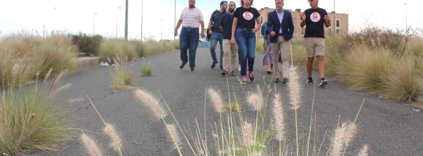 251015 Almatrice Bajo 04