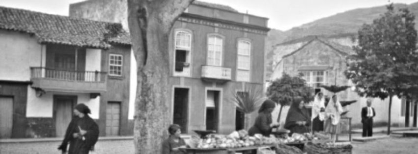 Copia de Copia de POSTS 1 - 36