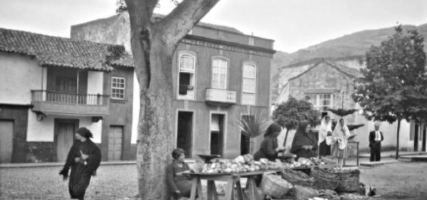 Copia de Copia de POSTS 1 - 36