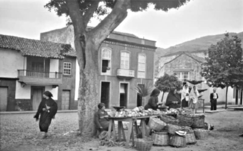 Copia De Copia De Posts 1 - 36