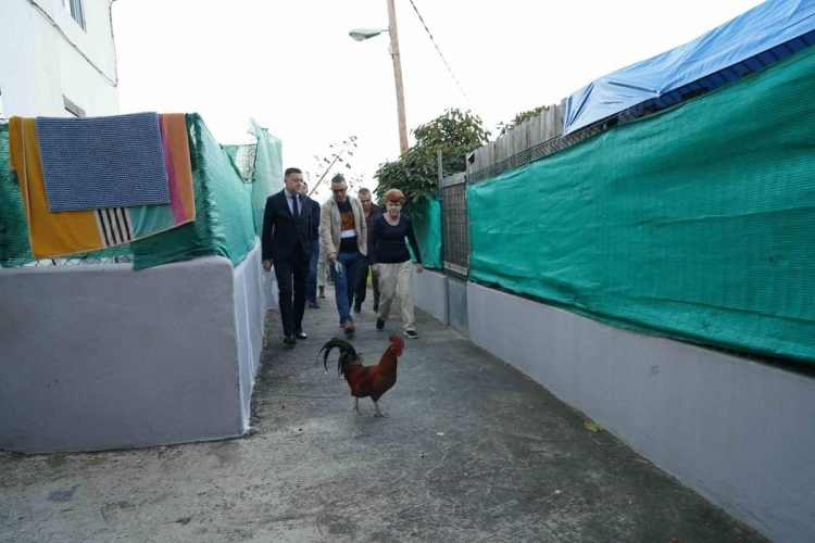 260212 Llanos María Rivera 04