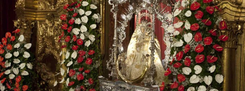 26_bajada-virgen-pino-manto-blanco