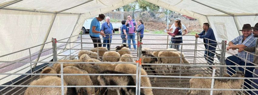 311025 Simulacro INFOCA con evacuación de animales 4