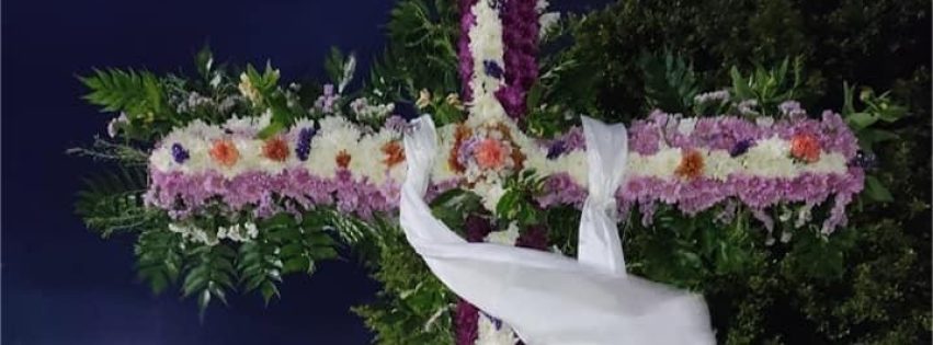 482024916_2731229027264851_6578607935003376330_n