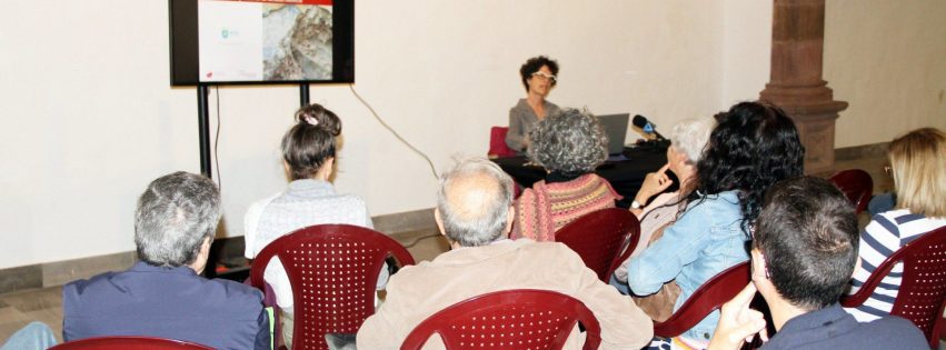 54341979356_e4910d167f_k