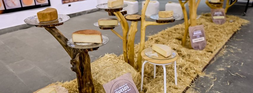 54479056782_a873abc73a_o