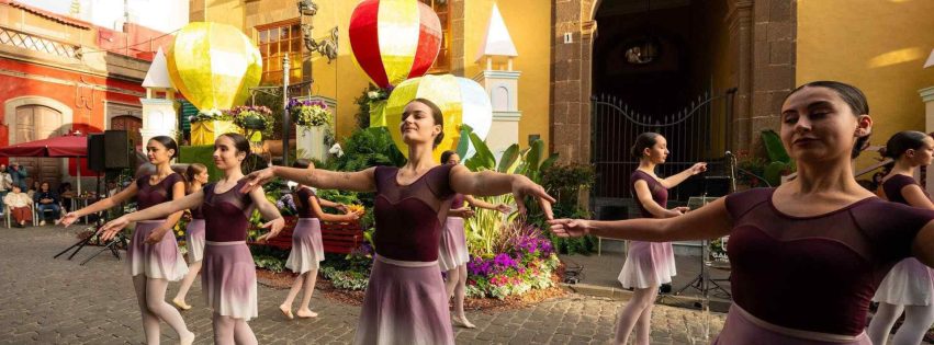 54487781966_2c1f1dbfff_k