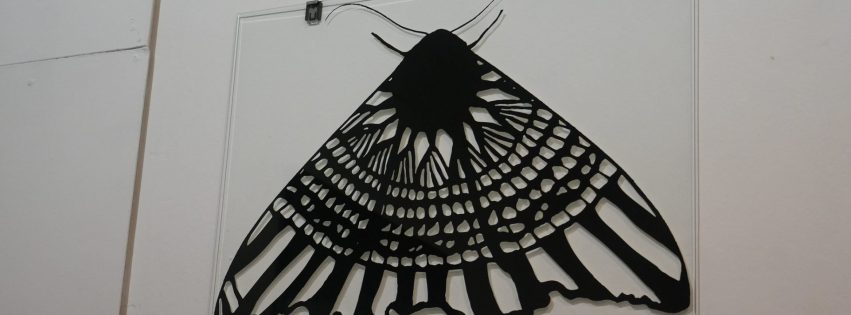 54570918177_8f9f6f4136_k