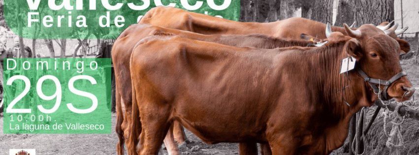 A5B25FA5 E391 4F3D 9E68 CF68EF5902A8