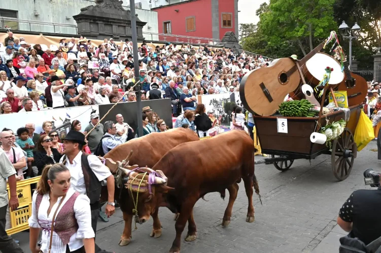 Arucas RomerÍa Ofrenda San Juan 2026 (1)