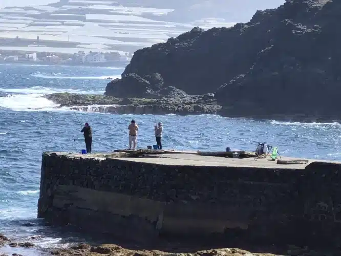 Abandono De Gáldar Psoe