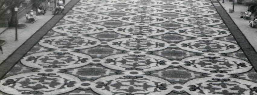 Alfombras Jesús Arencibia 1