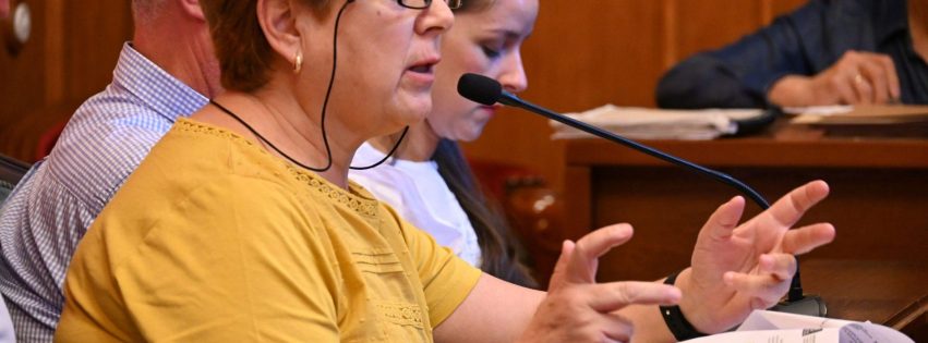 Ana Teresa Mendoza Jiménez, secretaria general del BNR NC y concejala de Sanidad del Ayuntamiento de Gáldar