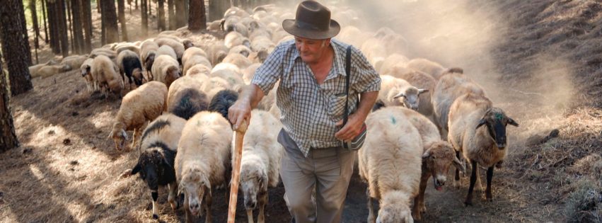 Benito Mendoza Rivero