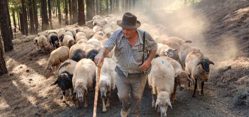 Benito Mendoza Rivero