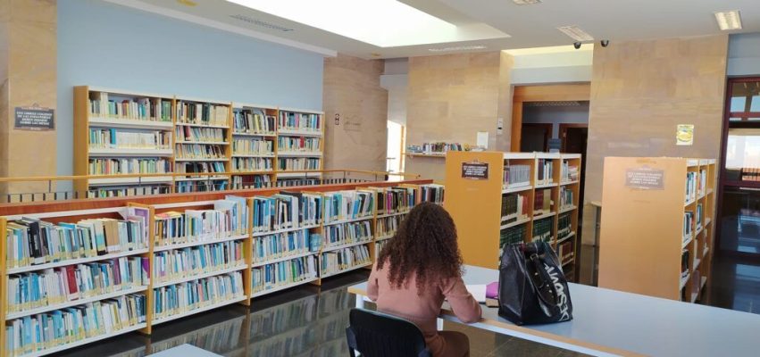 Biblioteca Pública Guía