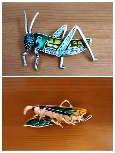 Broches Cigarra 1