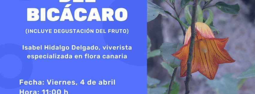 CARTEL CHARLA CULTIVO BICÁCARO