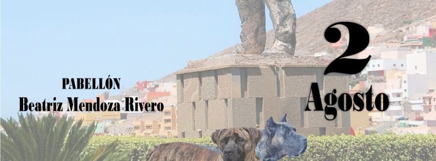 CARTEL CONCURSO PRESA CANARIO
