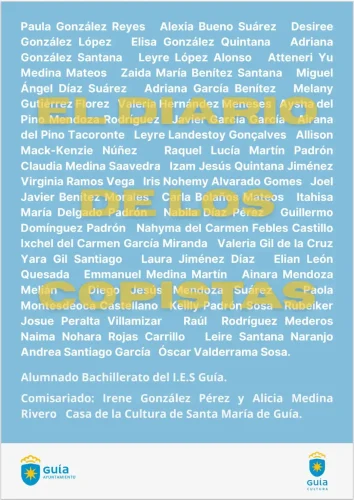 Cartel Diario De Los Copistas