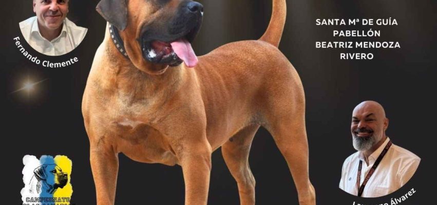 CARTEL ENCUENTRO PRESA CANARIO