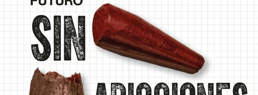 CARTEL PROYECTO CONSTRUYENDO FUTURO