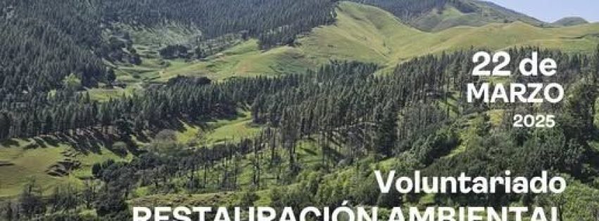 CARTEL VOLUNTARIADO CARTEL VOLUNTARIADO