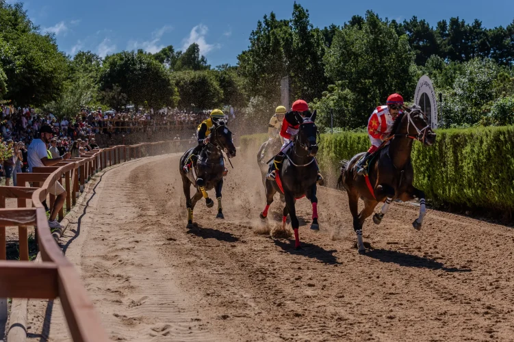 Carreras De Caballos Valleseco