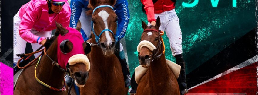 _Cartel IV Copa Hípica SVF