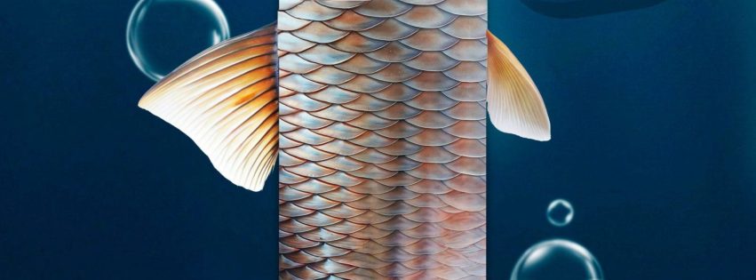 Cartel del FotoSub 2025 Cartel del FotoSub 2025