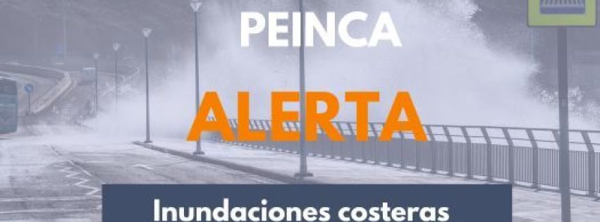 Cartelas-activacion-Planes-300-x-300-px-1