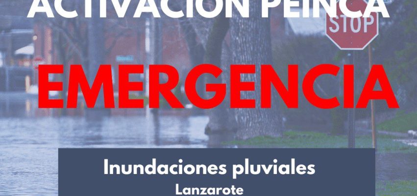 Cartelas-activacion-Planes-8