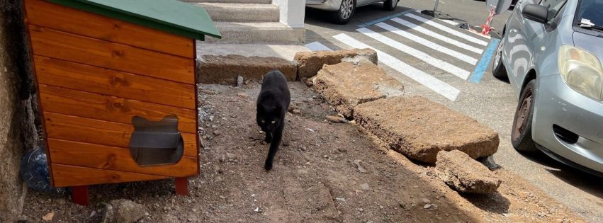 Caseta situada en el Aparcamiento Reina Arminda