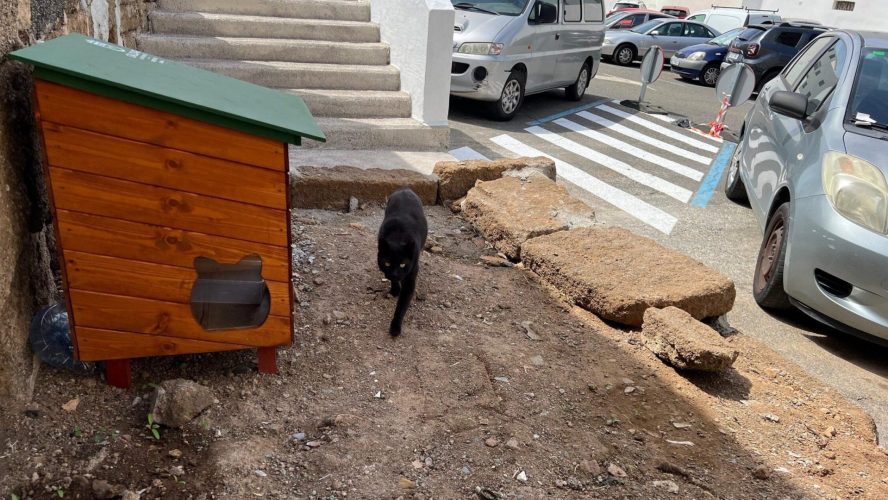 Caseta Situada En El Aparcamiento Reina Arminda