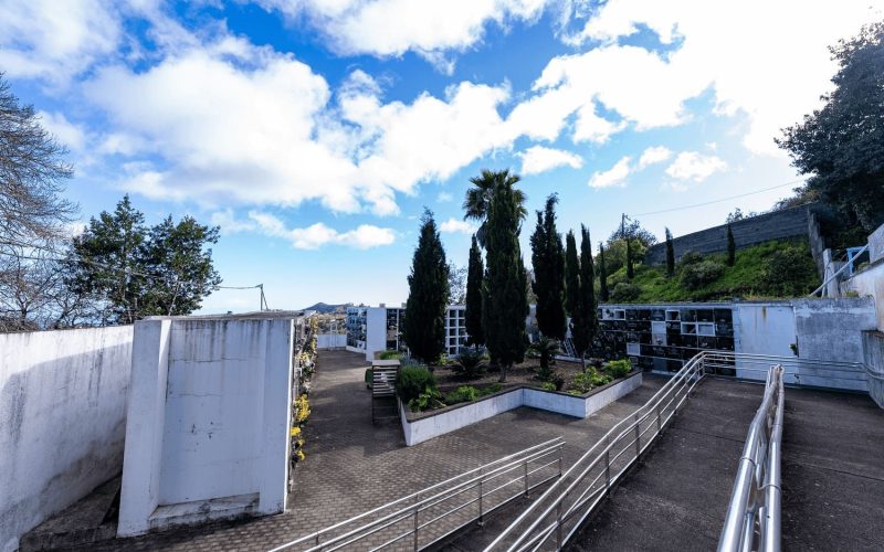 Cementerio Valleseco (3)