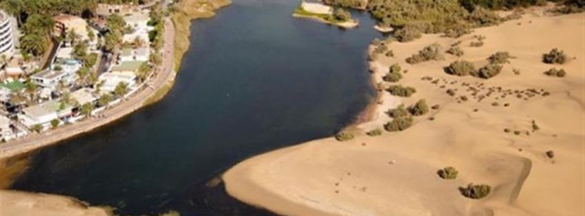 Charca de Maspalomas