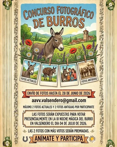 Concurso Fotográfico De Burros