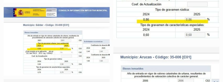 Consulta Impositiva mucicipal