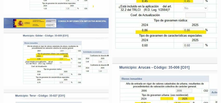 Consulta Impositiva mucicipal
