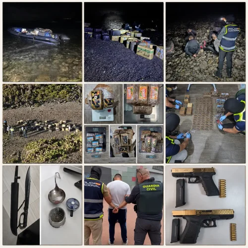 Desarticulada Una Organización Criminal