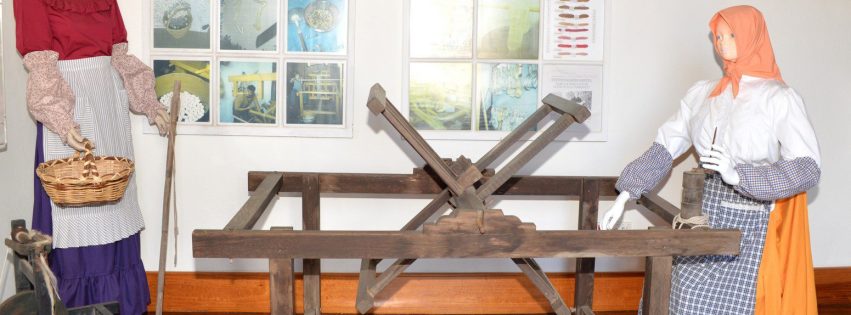 Día de Canarias 2025 Telde 121